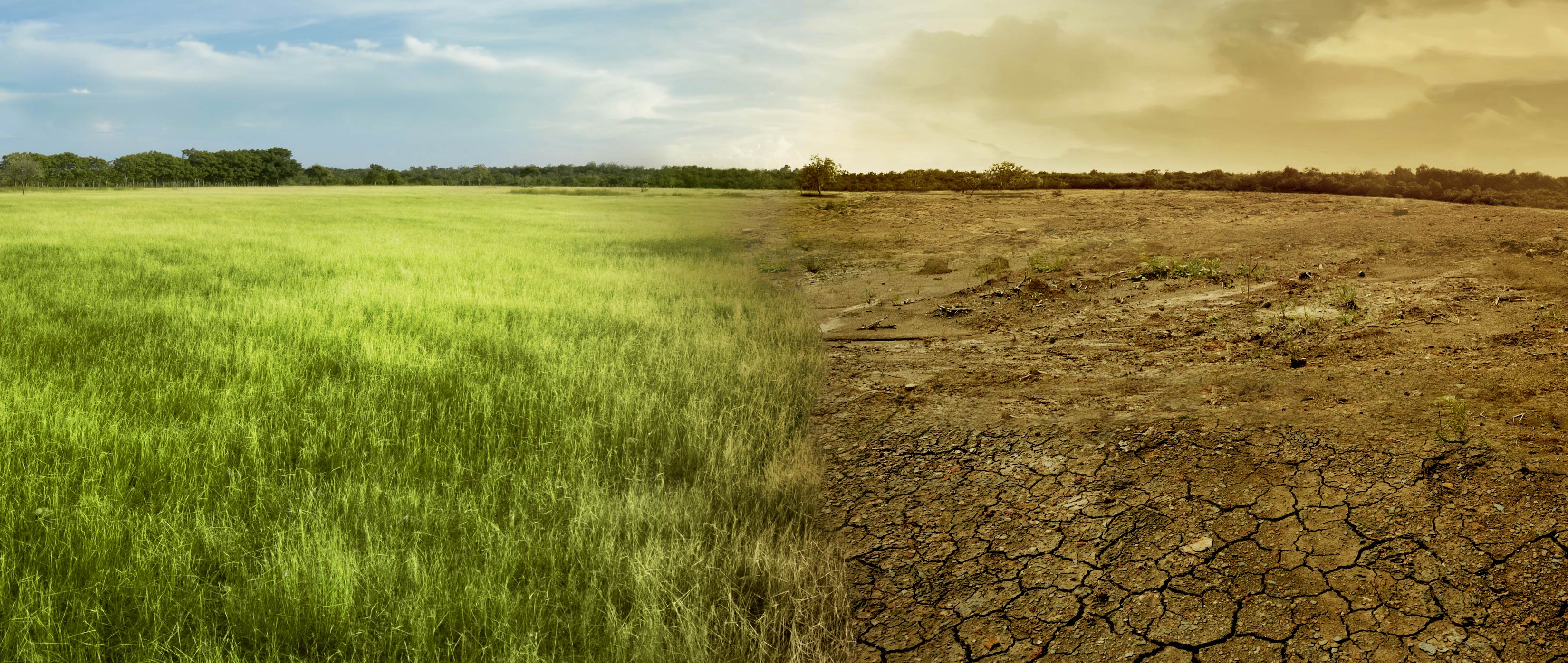 Drought Early Warning Drought.gov