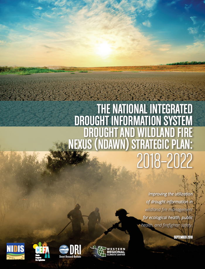 Cover of the NDAWN Strategic Plan: 2018-2022