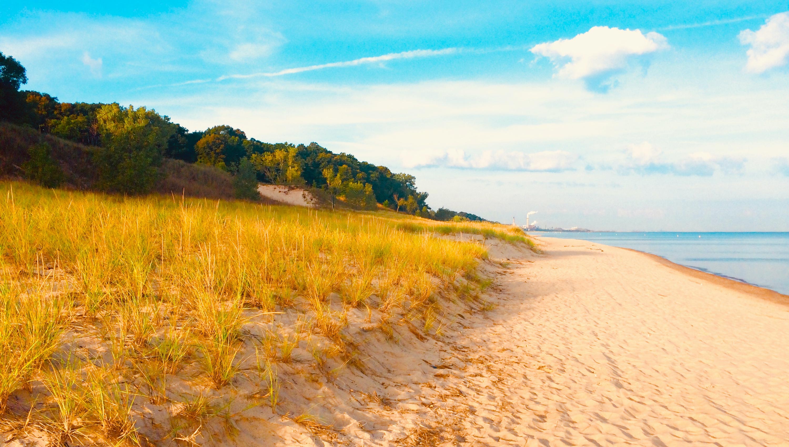 Sand dunes in Indiana.