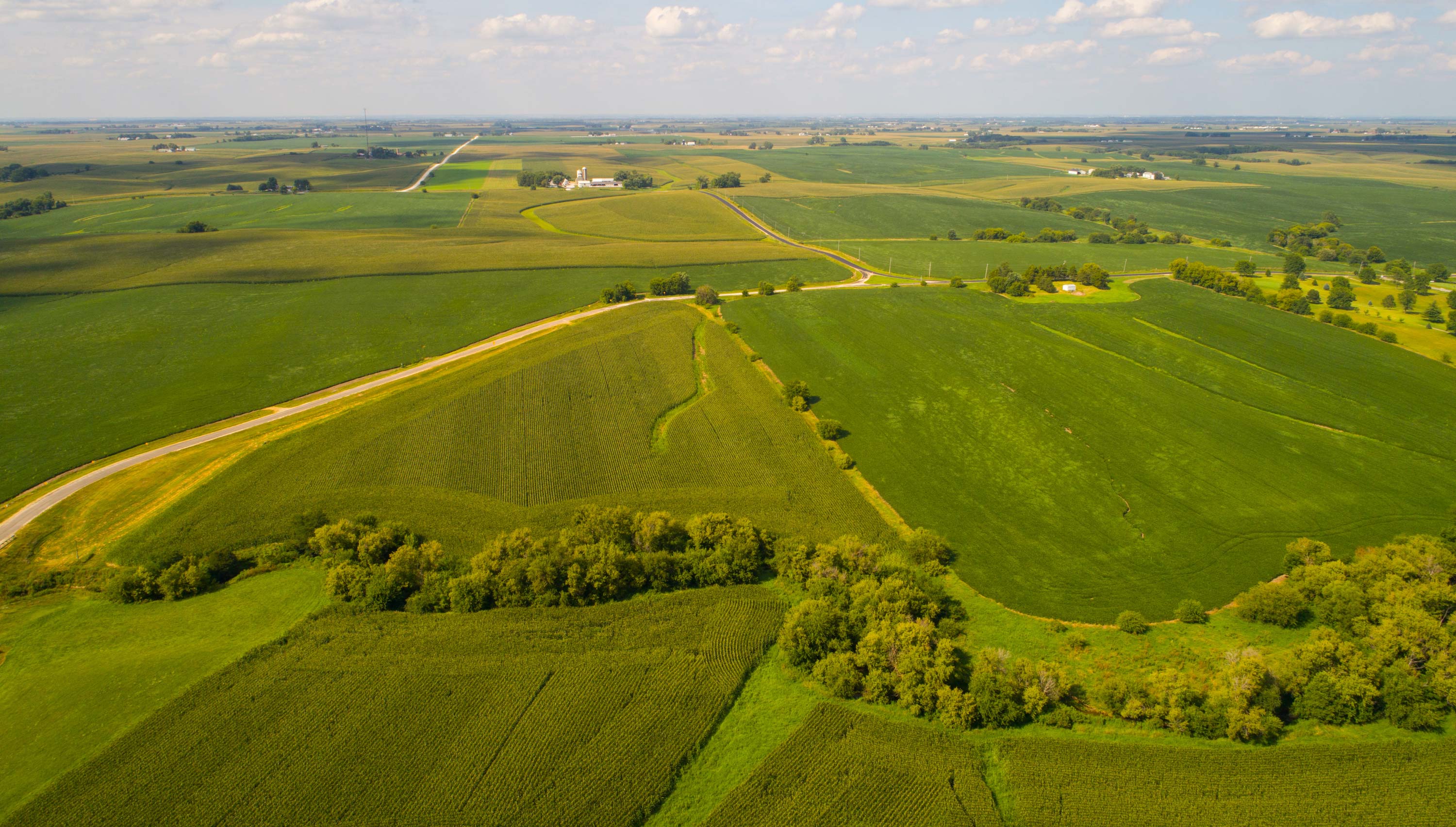 Green farmland in Iowa.