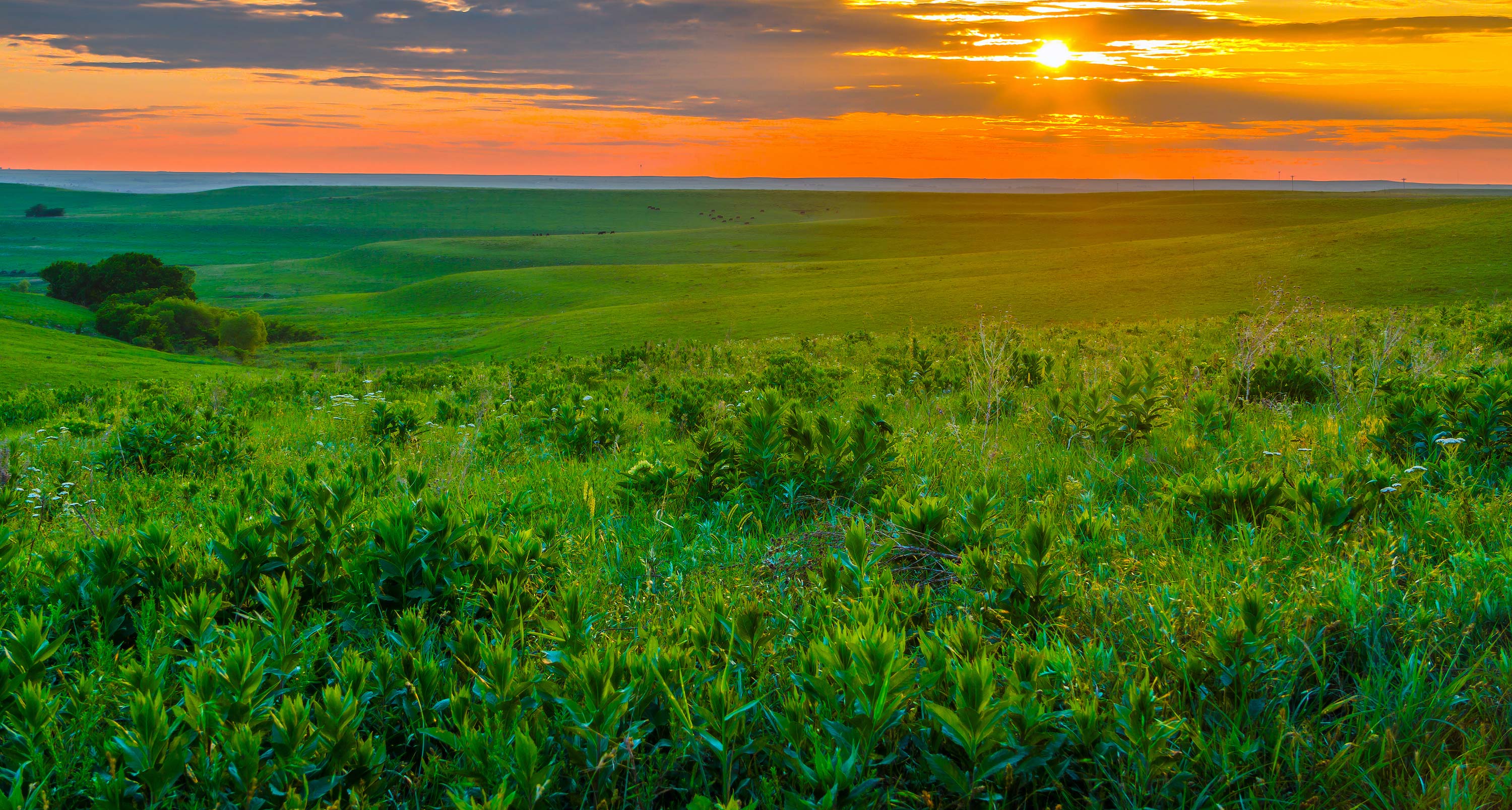 Green hills at sunset in Kansas.