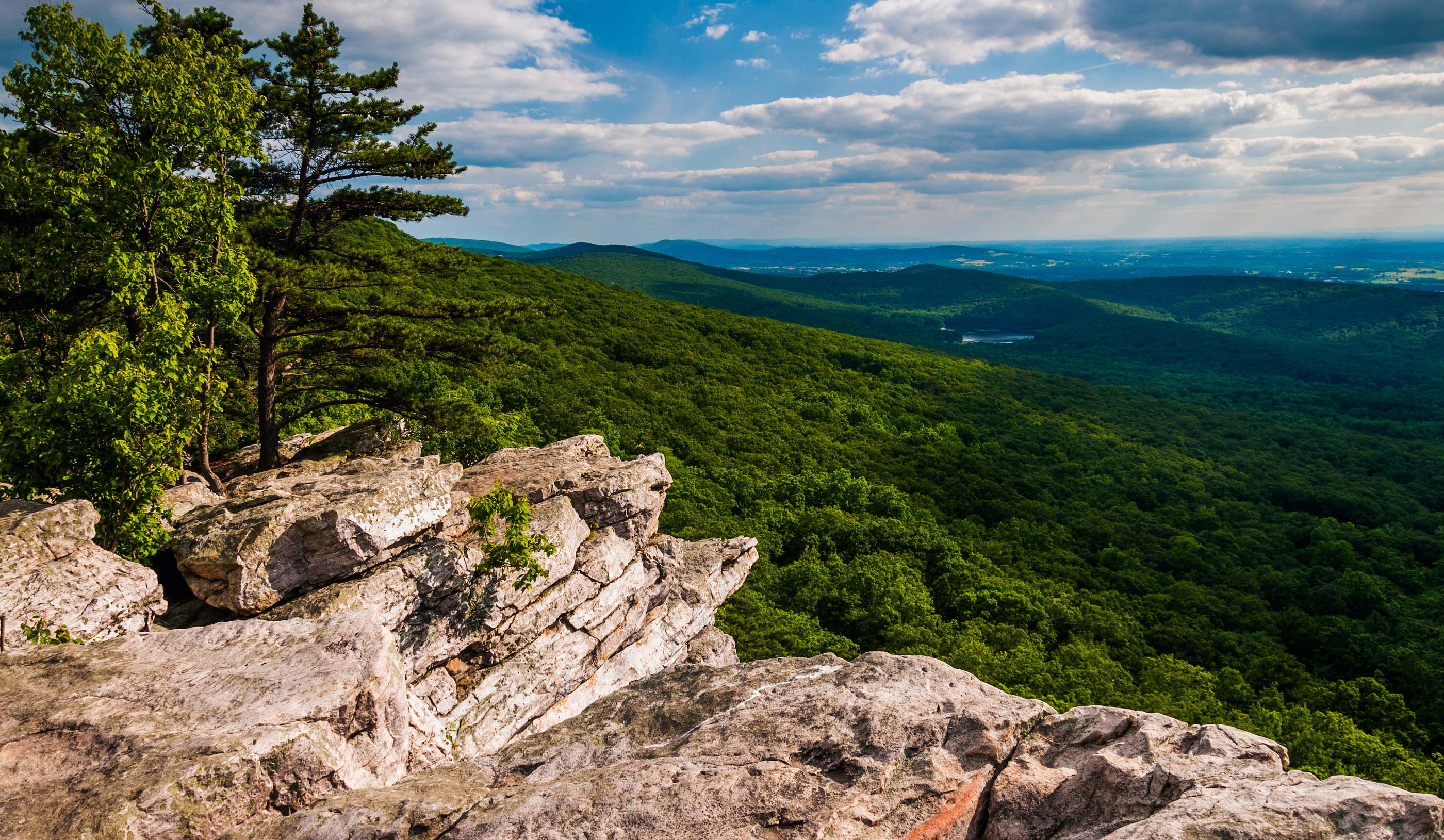 View from Annapolis Rocks in Maryland, with green trees in the background.