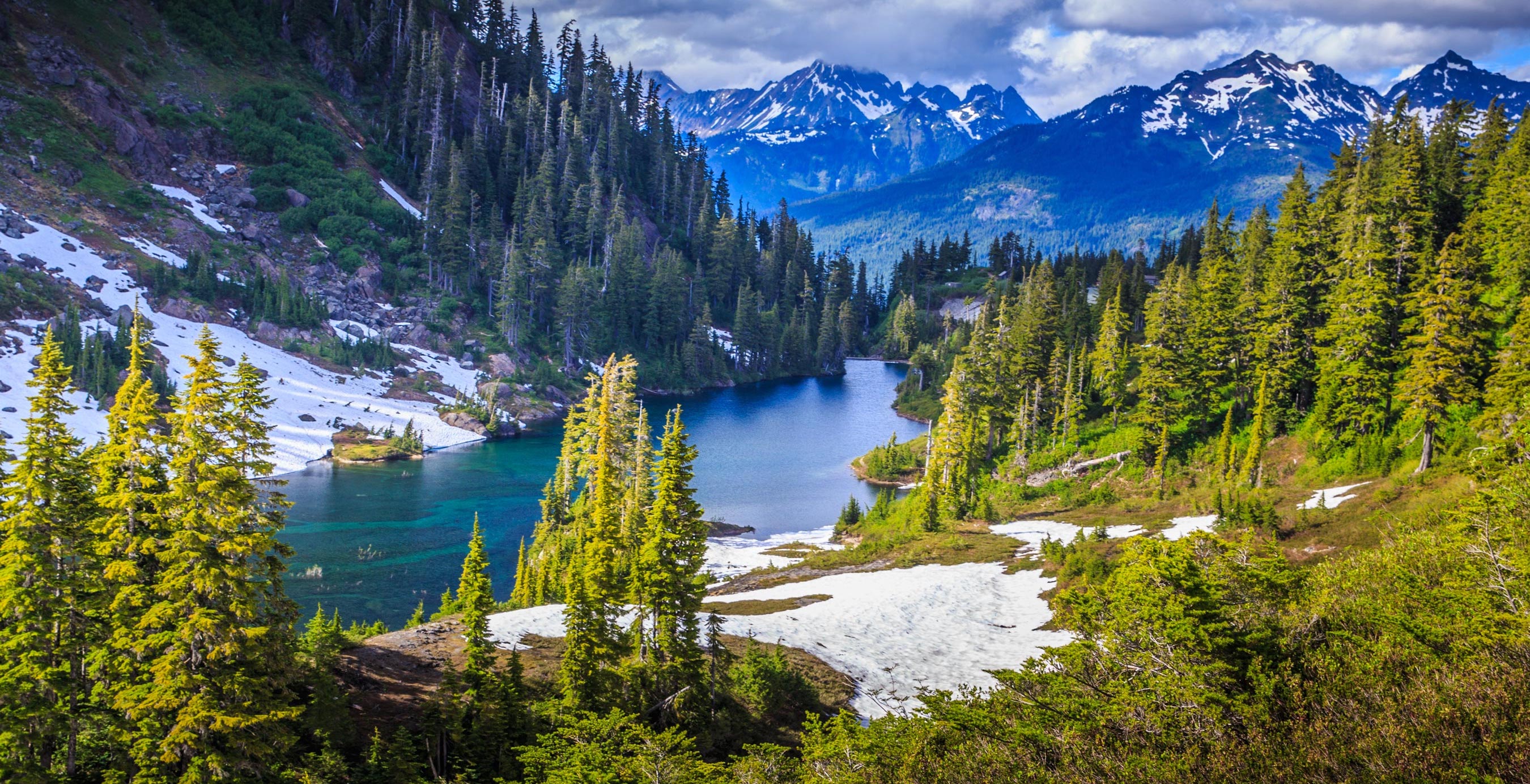 Trees and mountains in Glacier National Park, Montana.