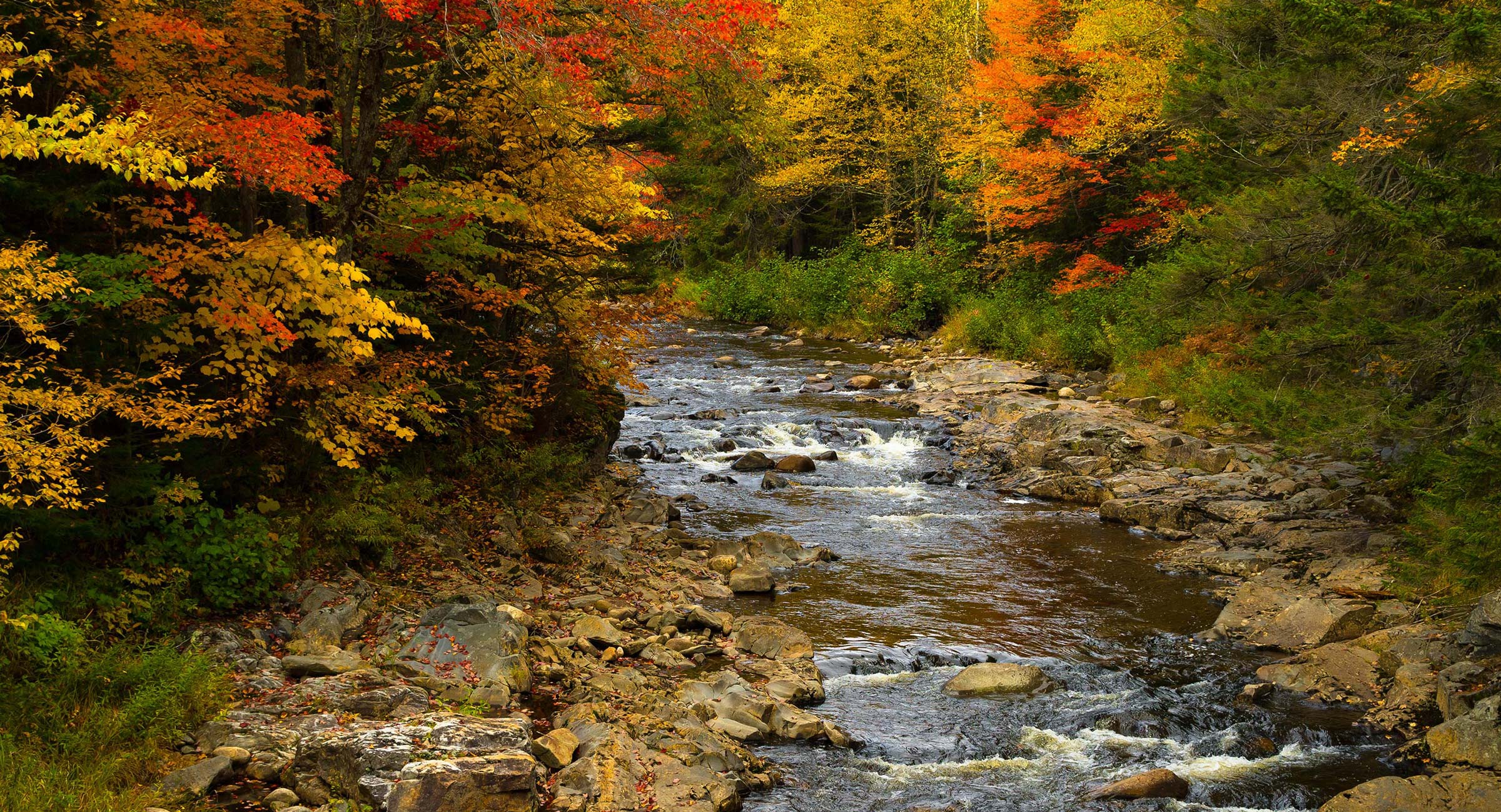 Fall foliage along the Nulhegan River in northeastern Vermont.