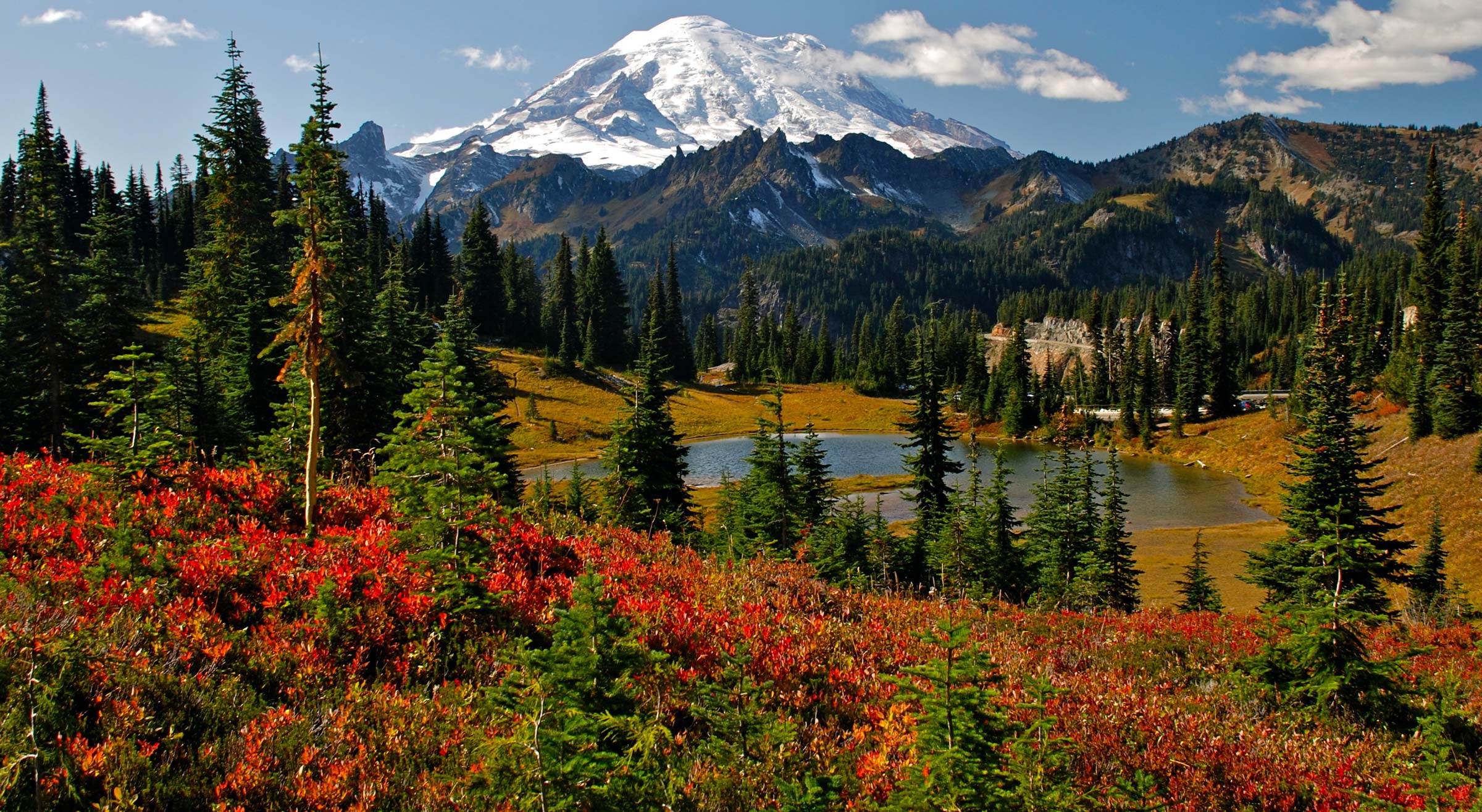 Trees and colorful plants in front of mountains in Mt Rainier National Park, Washington.