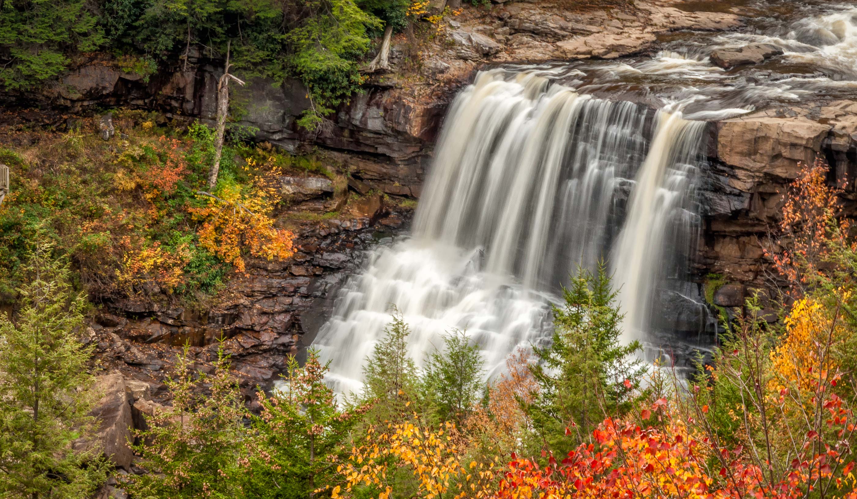 Blackwater Falls in West Virginia, surrounded by trees.