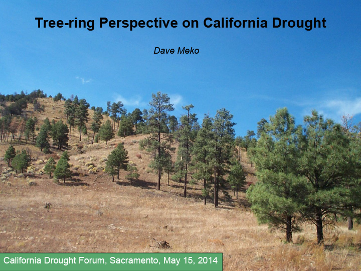 Title slide from presentation on observations of droughts via tree-rings for 2014 California Drought Forum