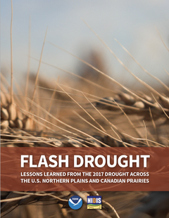 Report cover page