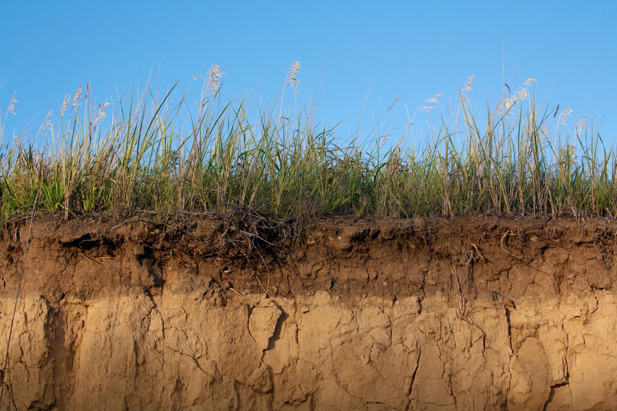 Soil Moisture Virtual Seminar Series: Using AI and Machine Learning to Improve Soil Moisture Products | October 7, 2026 Soil Moisture Virtual Seminar Series: Using AI and Machine Learning to Improve Soil Moisture Products | October 7, 2026