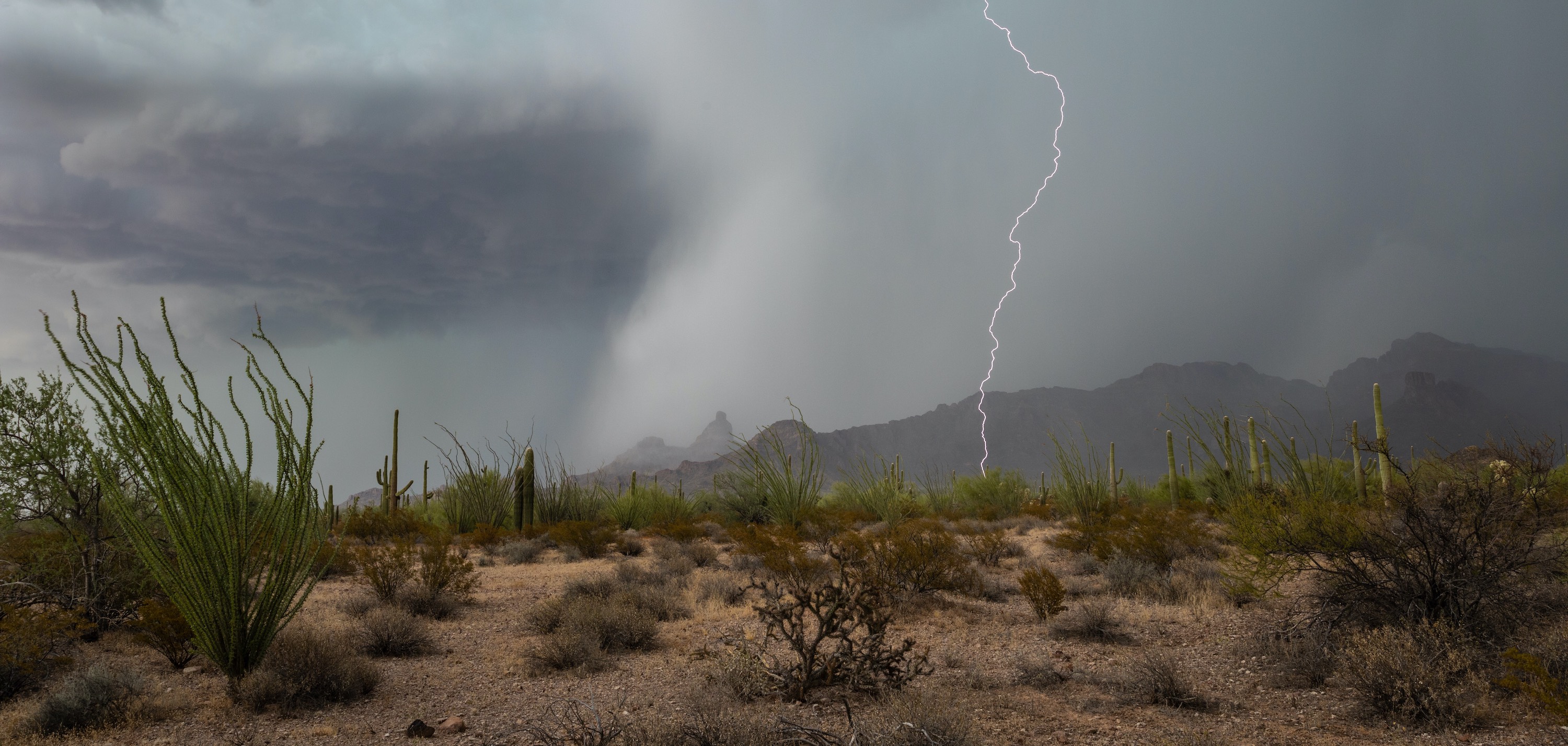 The U S Drought Portal Drought gov - Homepage Hero Lightning Sonoran Desert 1 