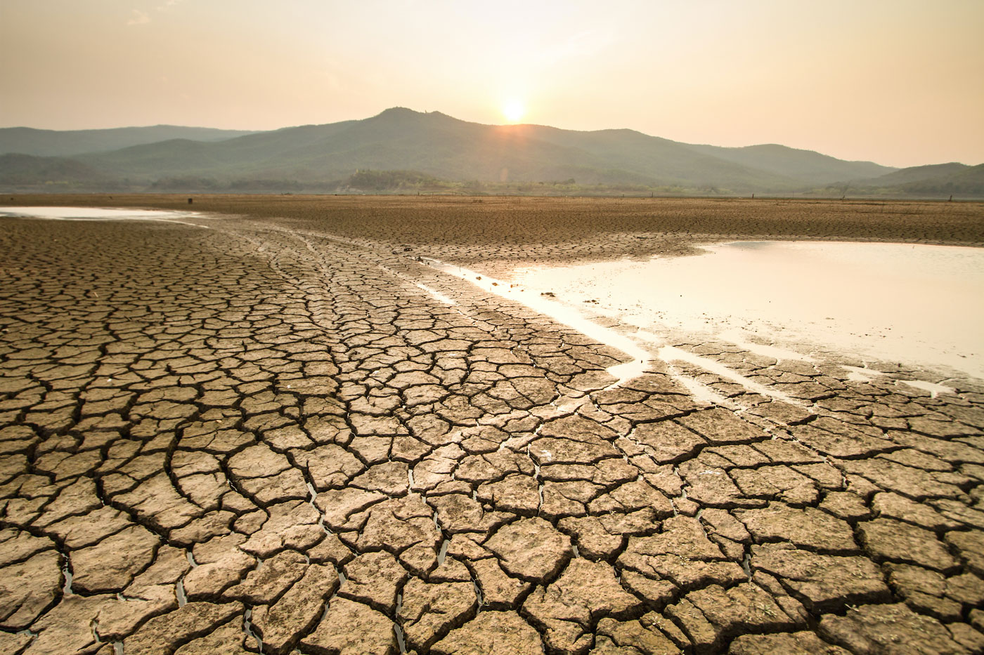 Ecological Drought Enters Unfamiliar Territory | Drought.gov