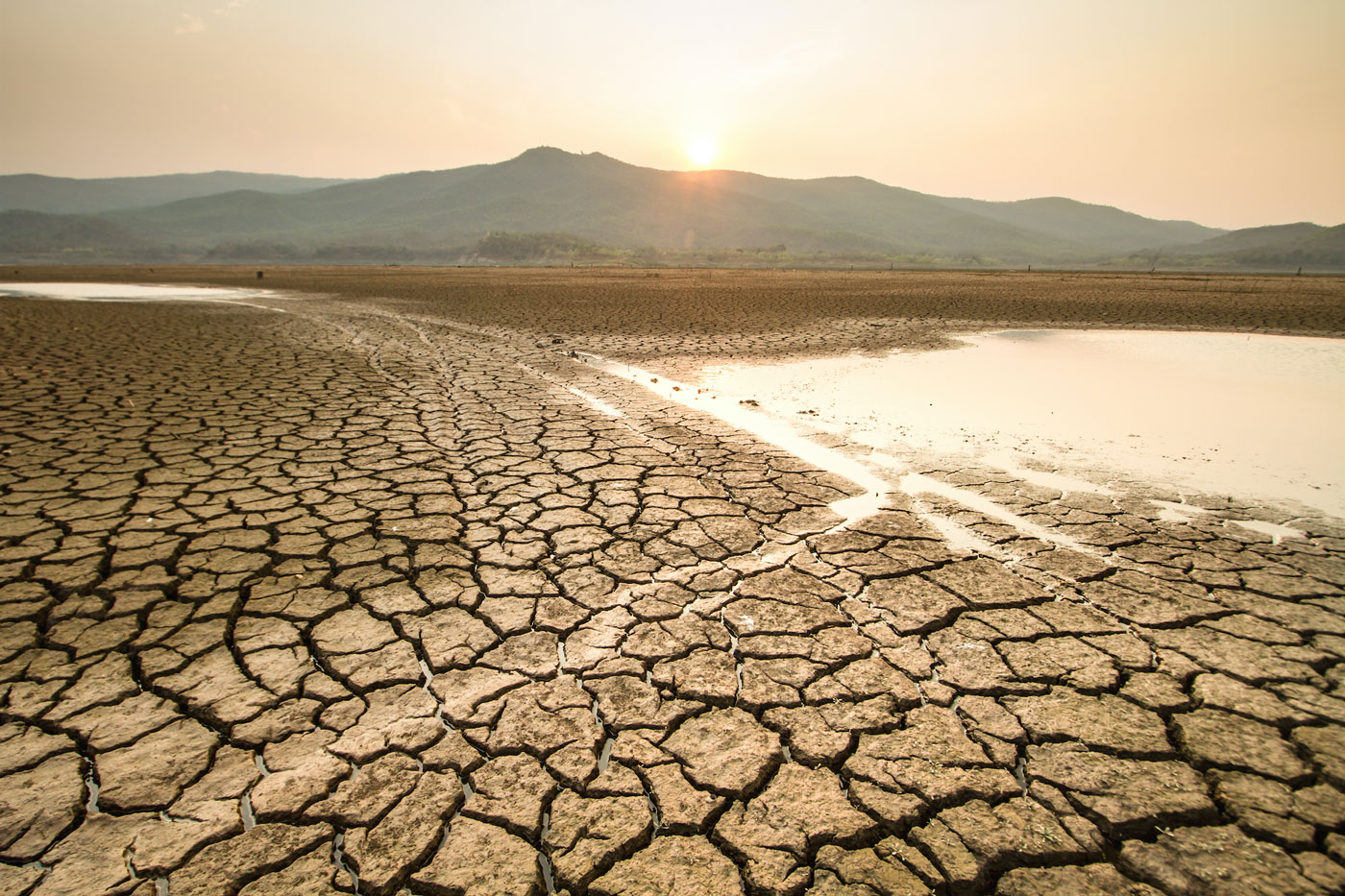 research findings drought