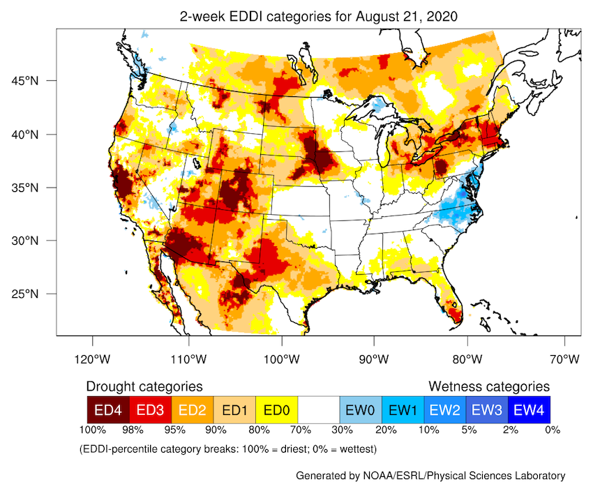 Two-week EDDI for August 21, 2020 for the contiguous U.S.