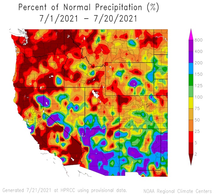 Percent of normal precipitation from July 1-20, 2021 for the Western U.S.  Arizona and New Mexico have experienced above-normal precipitation.