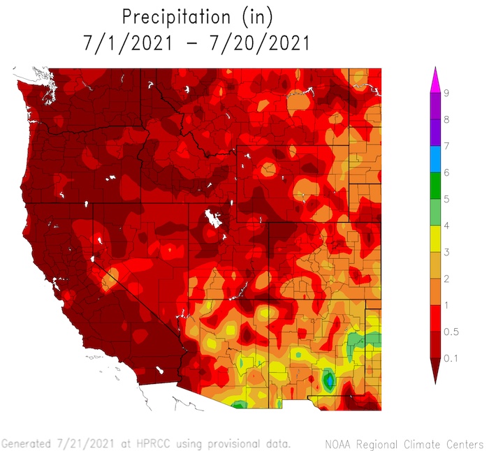 Precipitation totals for July 1-20, 2021 for the Western U.S. 