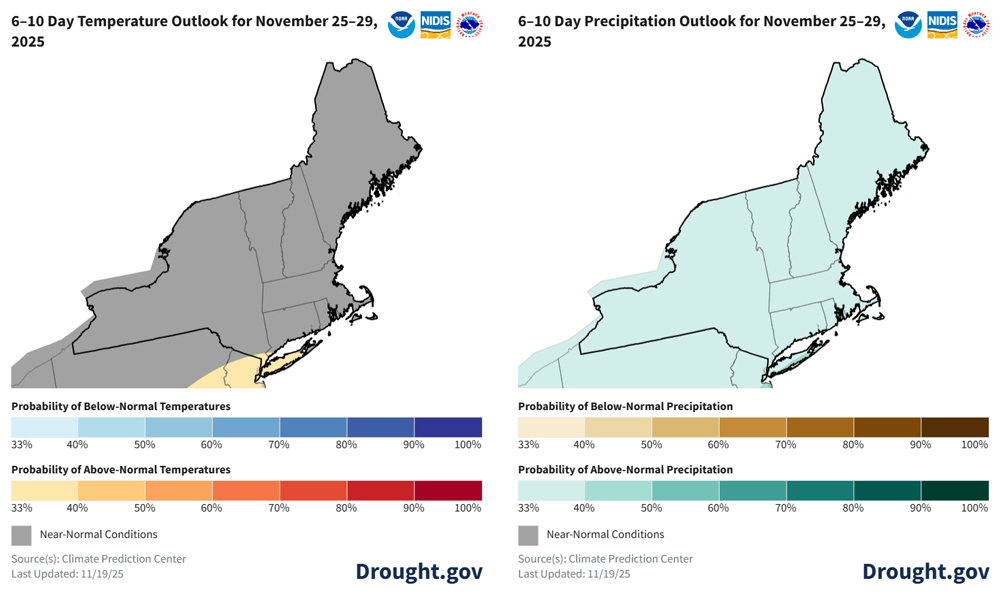  There is a 33%-40% chance of above-normal temperatures for Long Island; elsewhere, near-normal temperatures are favored. There is a 33%-40% chance of above-normal precipitation for the region except for southern Long Island, where there is a 40%-50% chance of above-normal precipitation.