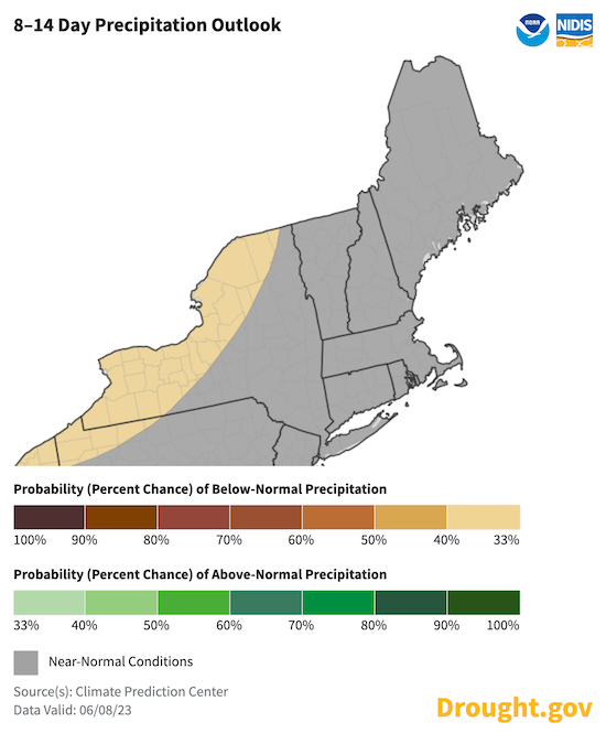 From June 15 to 21, odds favor near-normal precipitation across the Northeast, except for western New York.