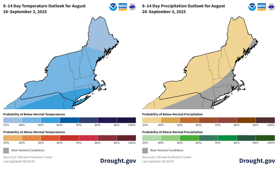  There is a 33%-60% chance of below-normal temperatures for the Northeast. There is a 33% chance of below-normal precipitation for Vermont, most of New Hampshire and Maine, and northern and central New York. The rest of the region favors near-normal precipitation.