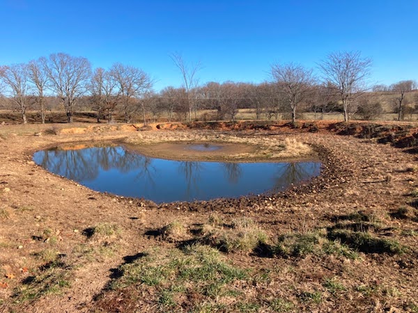  A photo of a pond with just about a foot left over water, taken in Miller County, Missouri on December 8, 2023. 