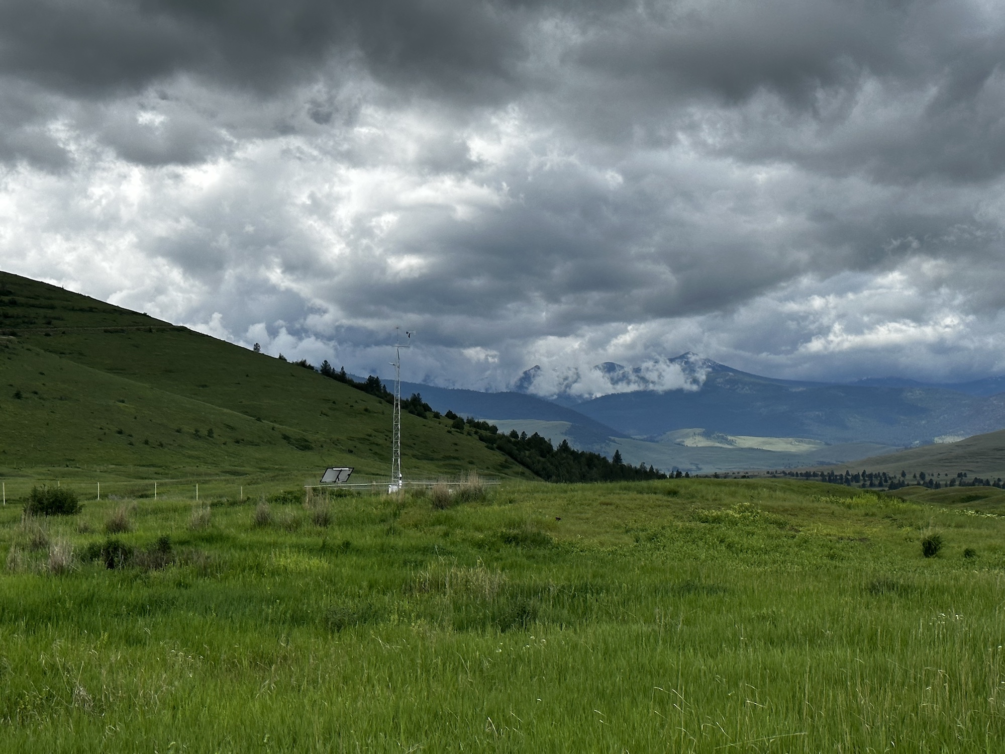 The new mesonet station went live at the CSKT Bison Range on May 4, 2023.