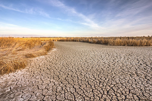 Cracked, dry ground near Fremont, California, USA