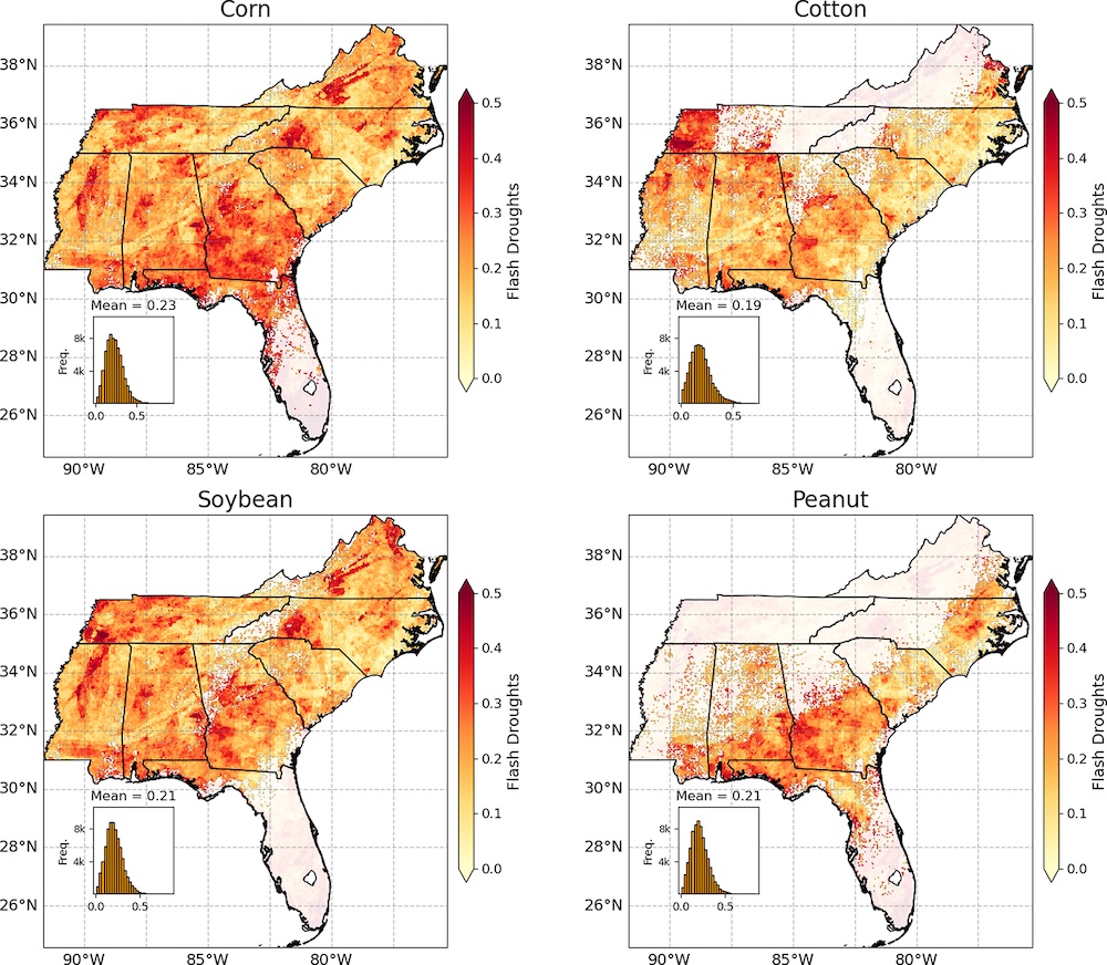 Four maps of the Southeast showing  between flash drought and critical growth periods for corn, soybean, cotton, and peanut across the Southeast.  orn had the greatest overall exposure, followed closely by soybean. 