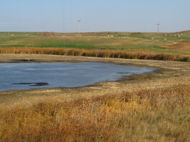 Surface water on livestock pasture in Burke County, North Dakota as of September 2020, showing the impacts of drought in the region.