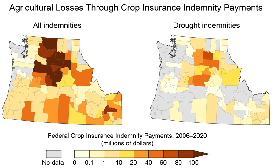  Two maps show crop losses in the Northwest by county, as revealed through crop insurance indemnity payments. A legend shows federal crop insurance indemnity payments from 2006 to 2020 from 0 (white) to more than 100 million dollars. The map at left, covering all indemnities, shows that the largest losses, of greater than $100 million, occurred in central Washington and north-central Oregon. Some counties in south-central Oregon and north-central, southern, and eastern Idaho saw losses in the $40 to $80 million range. Coastal regions saw the smallest losses, ranging from 0 to $10 million. In the map at right, covering drought indemnities only, similar patterns emerge. The largest losses—of $20 to $80 million—are in central Washington and north-central Oregon and Idaho, while counties in the rest of the region saw losses from 0 to $10 million. A handful of counties show no data, indicated in gray, for all indemnities, while a larger number of counties throughout the region show no drought indemnities data.