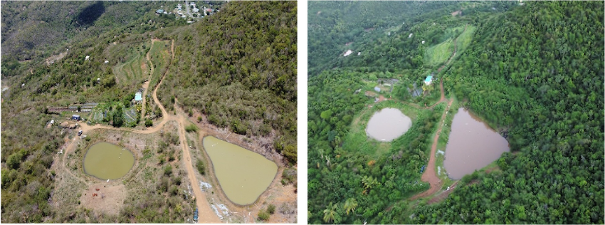 Between June 3 and November 1, drought conditions improved due to heavy rainfall. At a private pond in Bordeaux, water levels increased and stressed vegetation recovered.