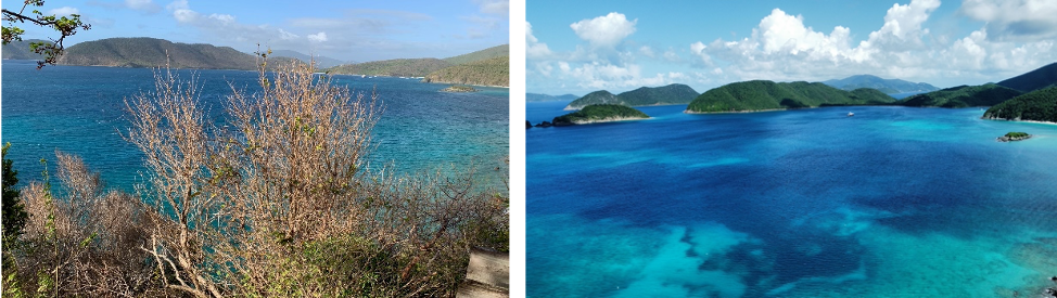 In July 2020, St. John was impacted by drought. Now, in November 2022, the island has seen a huge recovery.