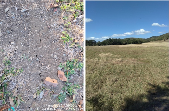 Two photos showing dry, cracked soil at cracking at a school farm in southern Puerto Rico and a deteriorated vegetation and forage on a livestock farm.