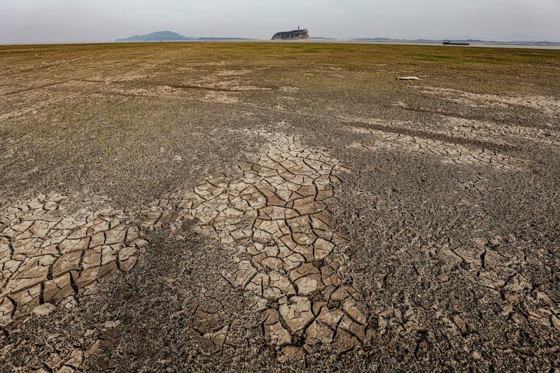In recent years, a severe drought impacted Poyang Lake in China.
