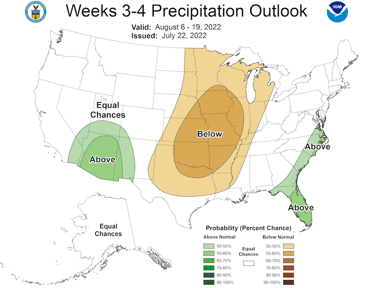 From August 6-19, 2022, there are equal chances of above- and below-normal precipitation across the Northeast.