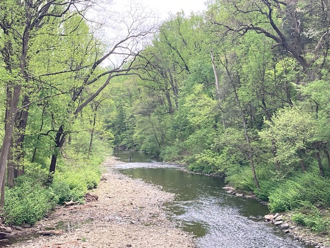 Spring green-up and below-normal streamflows are present in Wissahickon Creek, near Philadelphia.