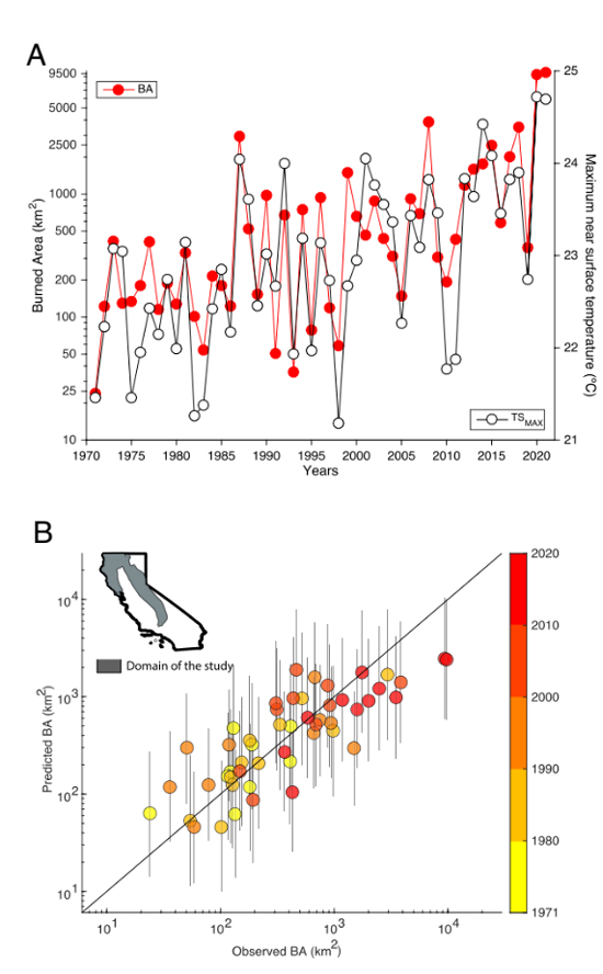 Time series of summer (May to September) forest fire burned area and spring to summer (April to October) maximum near surface temperature from 1971 to 2021 and (B) observed versus out-of-sample 10-fold predicted changes in BA. 