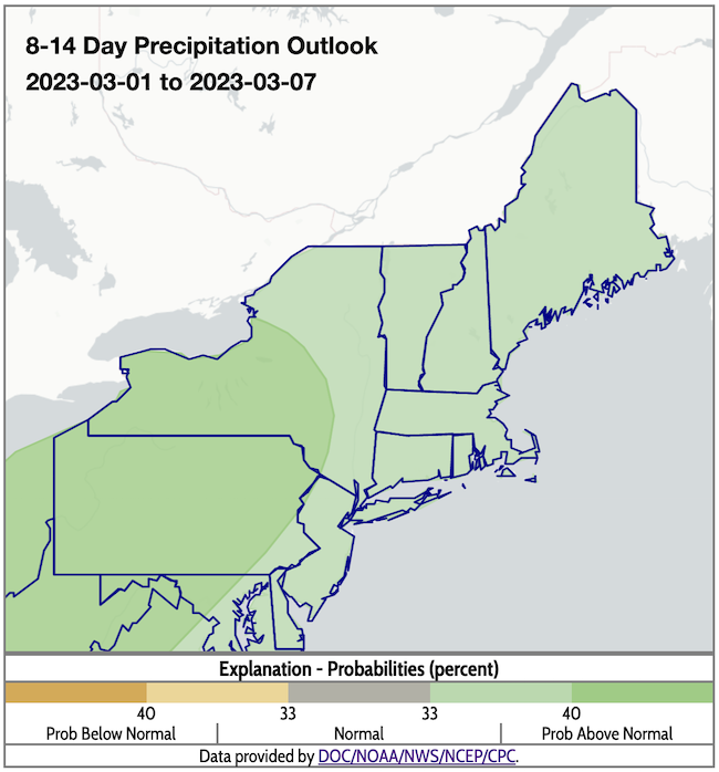 From March 1 to 7, odds favor above-normal precipitation across the Northeast.