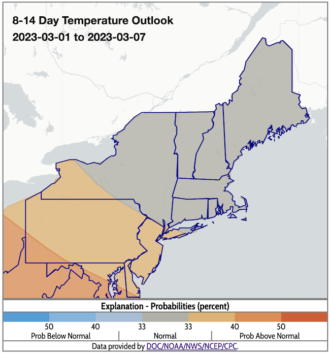 From March 1 to 7, odds favor near-normal temperatures across the Northeast, except for far-western New York, where above-normal conditions are slightly favored.