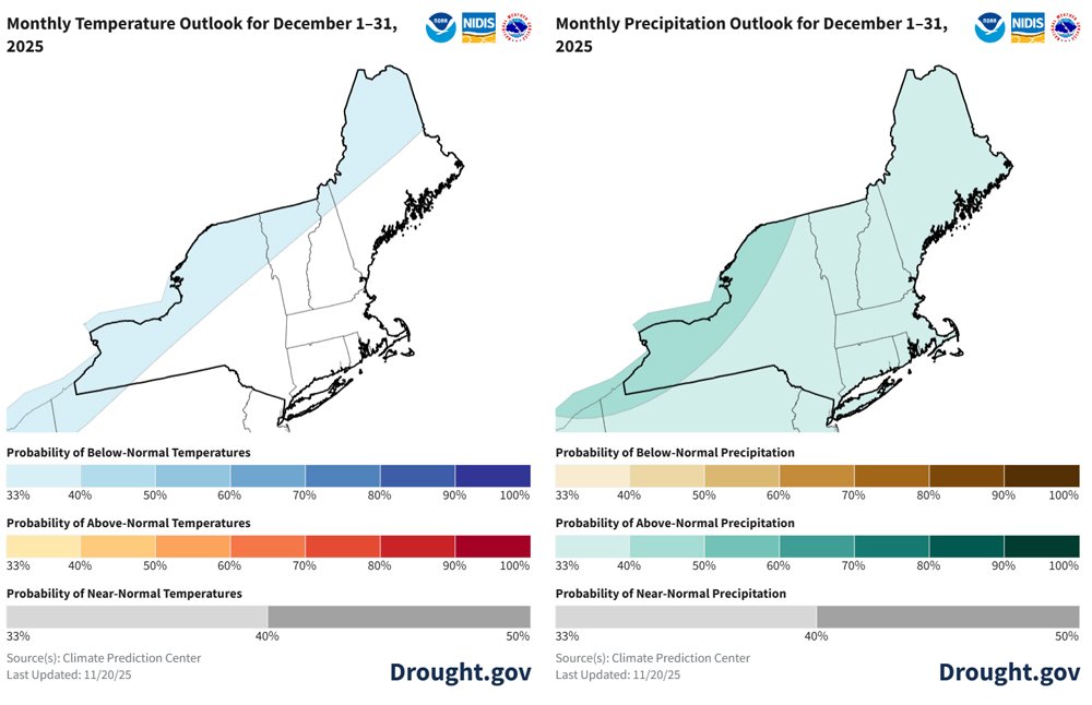  There is a 33%-40% chance of below-normal temperatures for western New York as well as northern areas of Maine, New Hampshire, Vermont, and New York. Elsewhere, there are equal chances of above-, below-, and near-normal temperatures. There is a 33%-40% chance of above-normal precipitation across the Northeast, except for northern and western areas of New York, where there is a 40%-50% chance of above-normal precipitation.