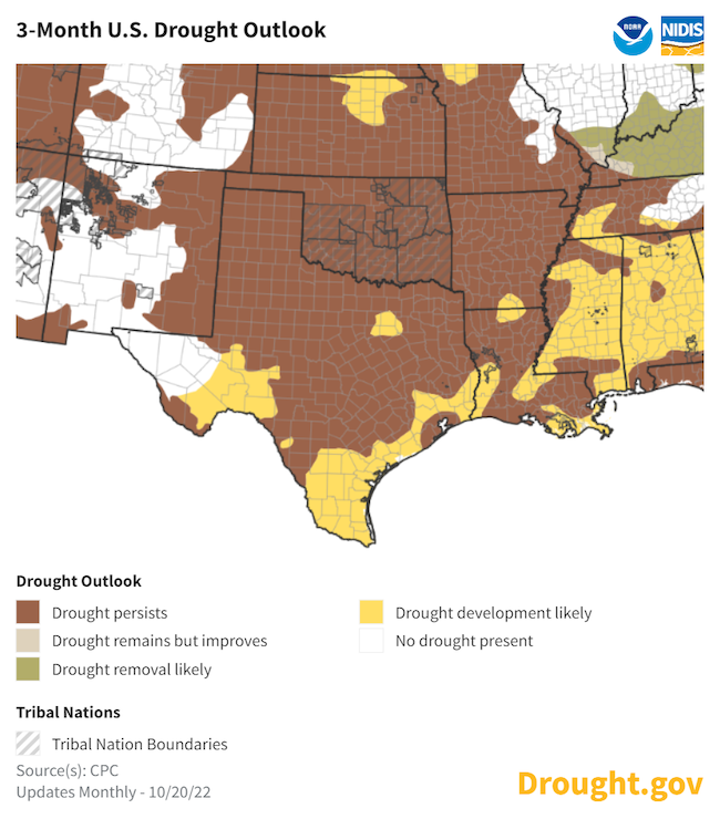 From October 20, 2022 to January 31, 2023, drought is forecast to persist in places where it is already present and develop where in is not present yet for all but far western Texas.