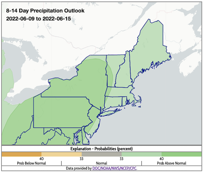 The entire Northeast DEWS region has a higher likelihood of above-normal precipitation conditions from June 9 to 15, 2022.
