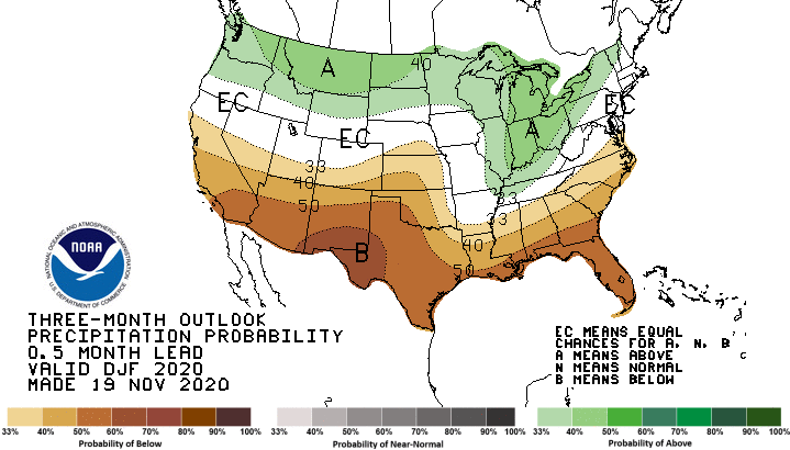 NOAA Climate Prediction Center three-month precipitation outlook for the U.S., made November 19, 2020