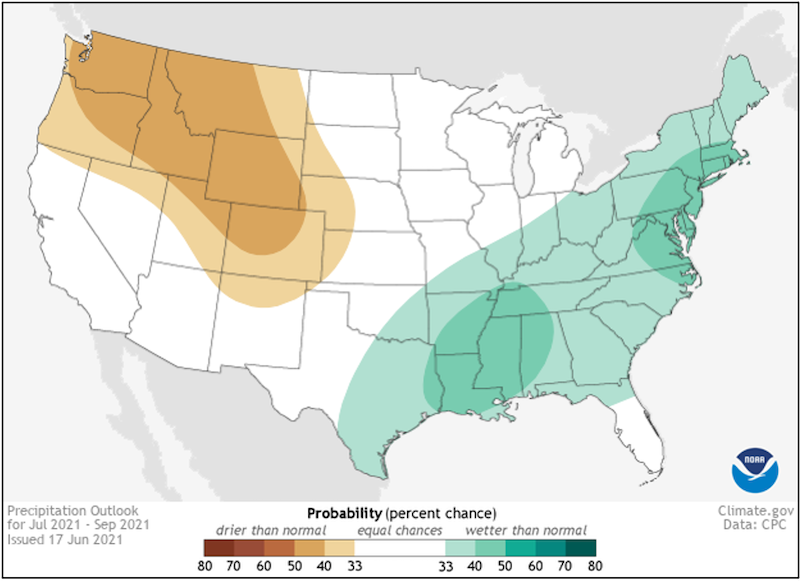 Climate Prediction Center 3-month precipitation outlook, showing the probability of above, near, or below normal precipitation from July to September 2021. Odds favor above-normal precipitation for northern Florida and all of Georgia, Alabama, Virginia, and the Carolinas.