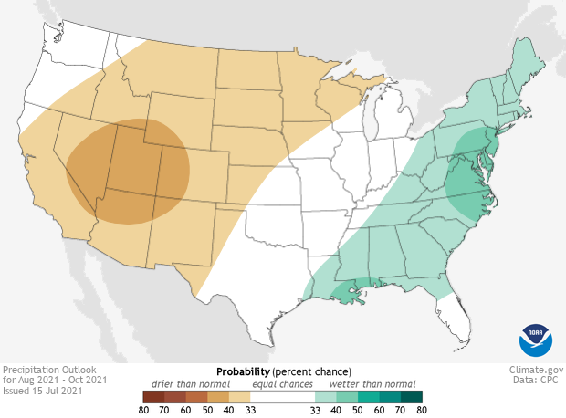 Climate Prediction Center 3-month precipitation outlook for August to October 2021. Odds favor above-normal precipitation across the Southeast, except central and southern Florida.