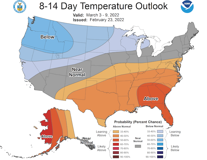8 to 14 day temperature outlook for the U.S., showing the probability of above, below, or near normal conditions for March 3–9, 2022.