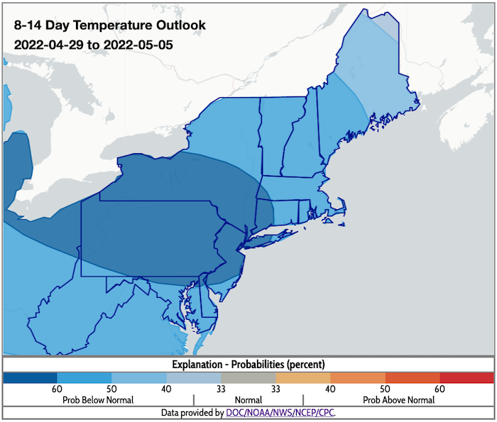 Climate Prediction Center 8-14 day temperature outlook for the Northeast, showing the probability of above, below, or near normal conditions from April 29 to May 5, 2022.