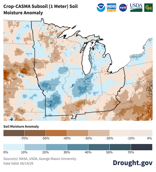 This map displays the Crop-CASMA subsoil (1 meter) soil moisture anomaly for the Midwest with data valid through June 14, 2026. A prominent, widespread corridor of positive soil moisture anomalies—ranging from 20% to over 50%—is centered over the heart of the region, covering almost all of Illinois, Indiana, southern Wisconsin, lower Michigan, eastern Iowa, and northern Missouri. In contrast, below-normal soil moisture is concentrated across northern Minnesota, southern Missouri, Kentucky, and southern Ohio, with localized deficits between 30% and 50% below normal. 