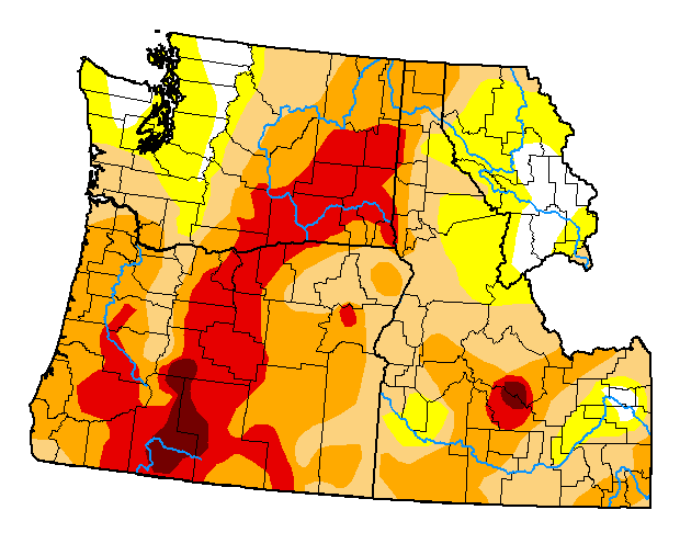 U.S. Drought Monitor map of the Pacific Northwest, valid June 8, 2021. Most of the region is experiencing abnormally dry or drought conditions.