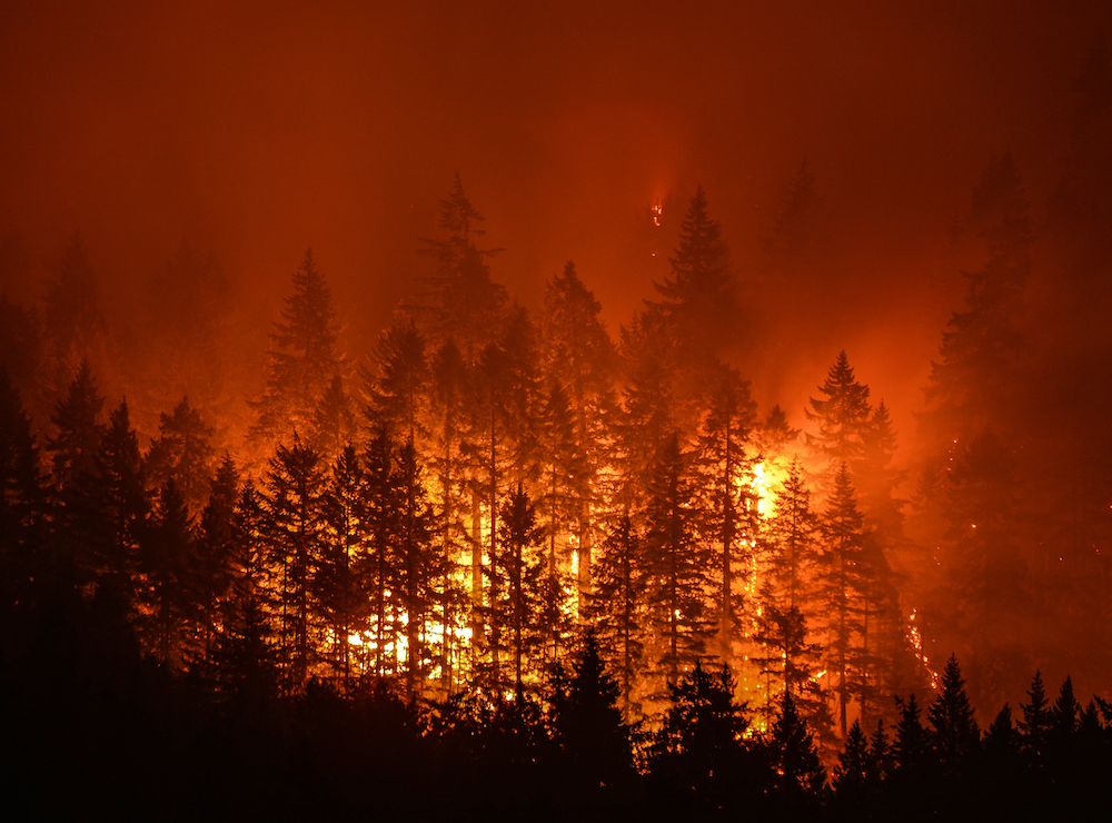 Fire fighting helicopter carrying water to put out a wildfire