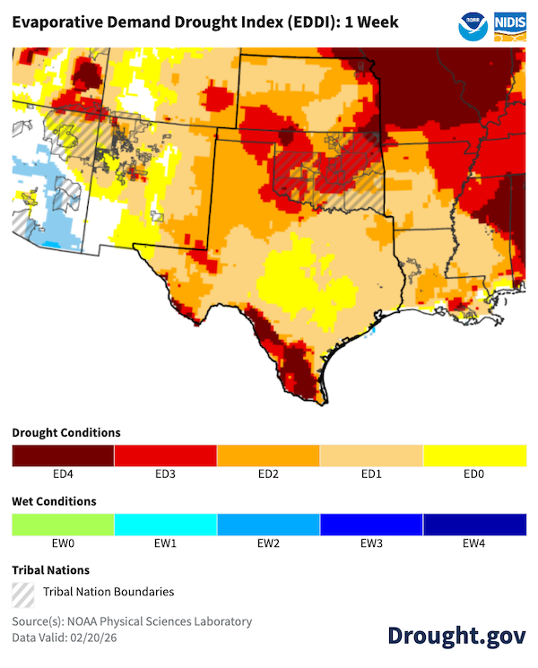 A 1-week EDDI map for the South Central U.S. valid February 20, 2026, uses a scale from ED0 (yellow) to ED4 (dark red) to show areas where high atmospheric demand is "thirsty" for moisture. Extreme (ED3) to exceptional (ED4) conditions are concentrated in the Texas Panhandle, southern Texas, large areas of Oklahoma, and southern and eastern Kansas, signaling high fire-weather risk and potential flash drought. The takeaway is that intense atmospheric demand is currently compounding existing moisture stress across the drought-stricken regions of the southern Great Plains.
