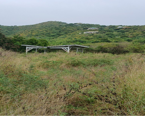 Una combinación de vegetación verde y marrón cerca de un pabellón en Lang's Peak, St. Croix.
